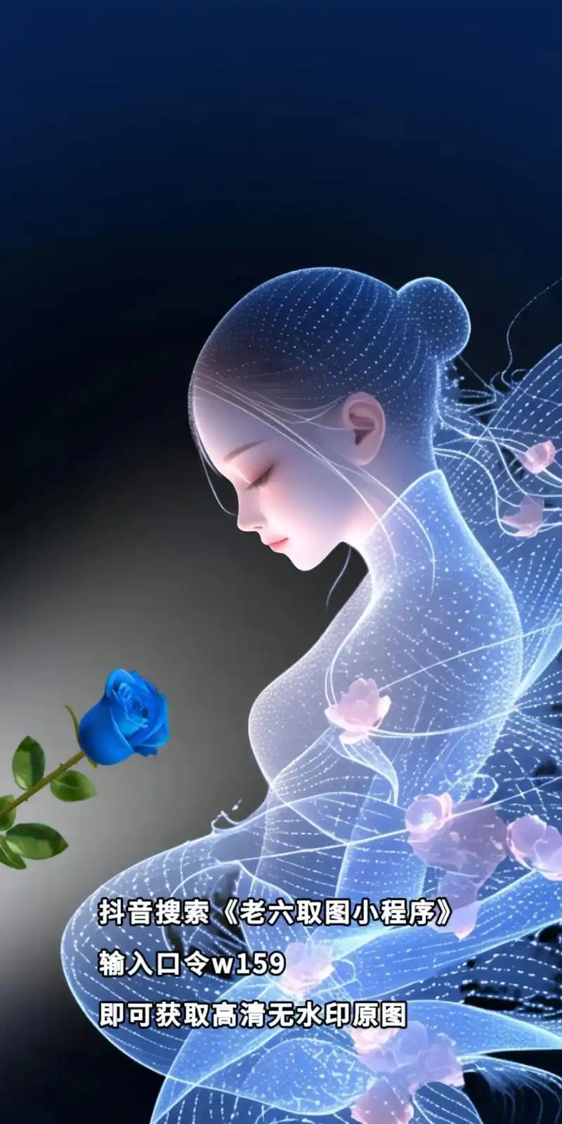 手机壁纸.小清新 #唯美意境 #美图分享 #美出高级感 #唯 - 抖音