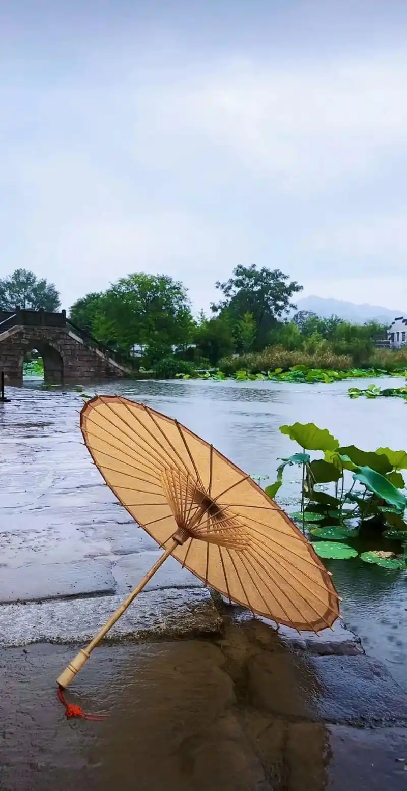 《夏雨江南》 大抵又是一场雨落入江南 月色遥转,躲闪着过往横冲的