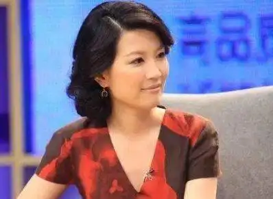 知情人透露东方卫视主持人房海燕的最新动态,她如今在干什么?