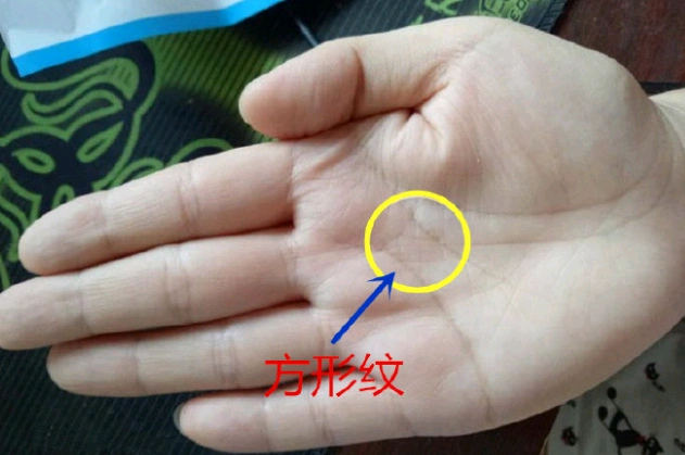 方形纹在手相中,金玉满堂,夫唱妇随,逢凶化吉!