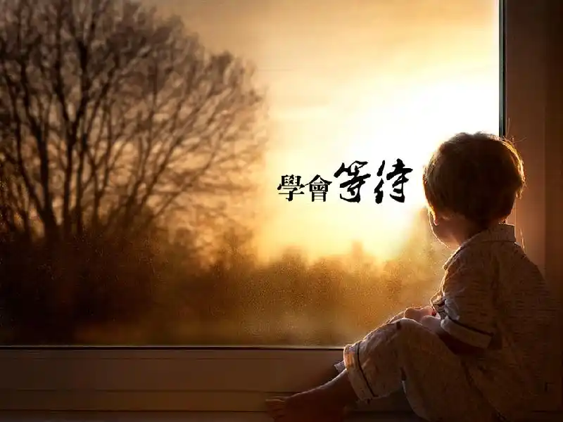 28首"等待"诗词:守得春风岭上来,双眉略展待花开