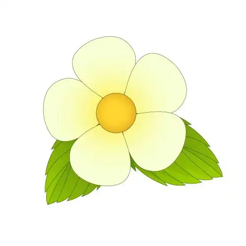 白色小花装饰 夏天