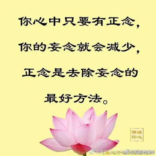 正能量分析解剖论文!《人性的懂得比爱更加重要》深度!