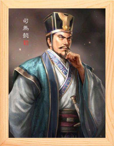 营养书画 天然实木有框画简约现代挂摆件 榜样的力量 司马懿画像