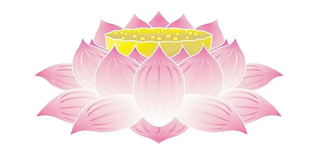 一切有为法如梦幻泡影