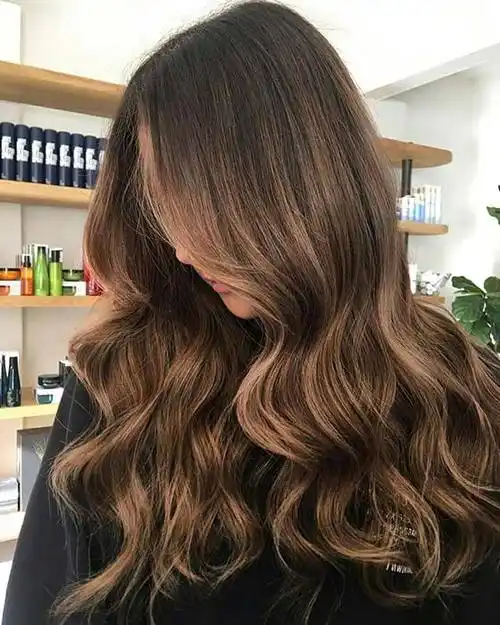 栗色是什么颜色(褐色栗色棕色的区别) - 月牙知识库