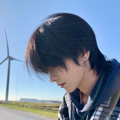 鲻鱼头男短发日系帅气女狼尾头逼真自然学生假毛网红全头套式花乐集