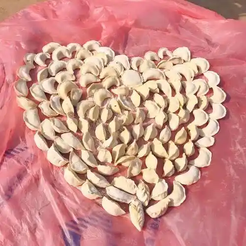 爱心饺子已包好