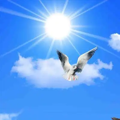 微信头像蓝天_头像图片_扣扣乐园