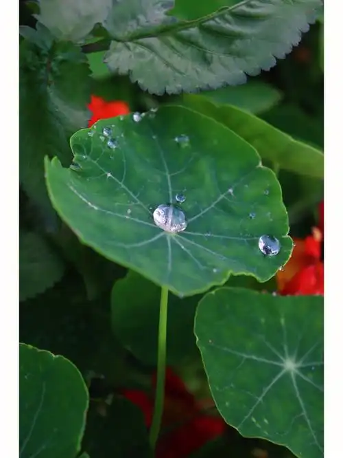 1080_1439竖版 竖屏