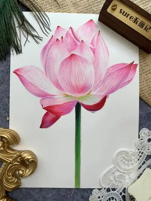 彩铅团练第二期花卉第三课荷花03备课ing