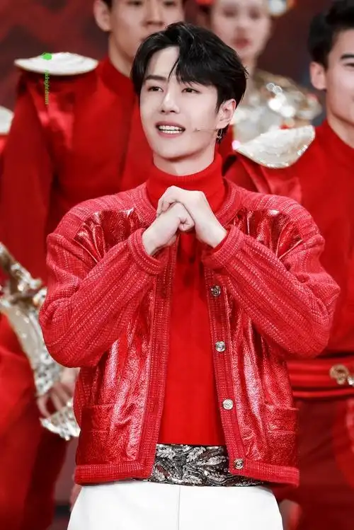 【王一博】2021.02.11央视春节联欢晚会 - 堆糖,美图壁纸兴趣社区