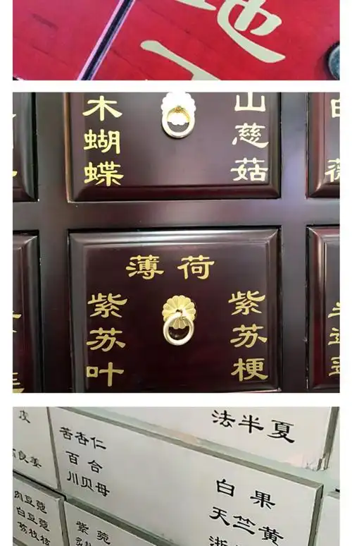 中药柜标签贴纸 定制中草药斗谱贴 金色不干胶镂空药名中药贴 黑色横