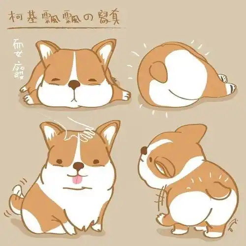 插画简笔画柯基飘飘小狗怎么画?