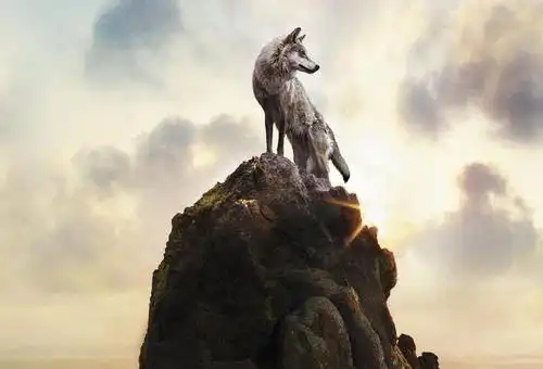 读《狼图腾》有感——狼王精神