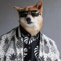 柴犬穿衣服戴墨镜头像