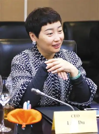 专访丨国美控股ceo杜鹃:国美一直在"居安思危"