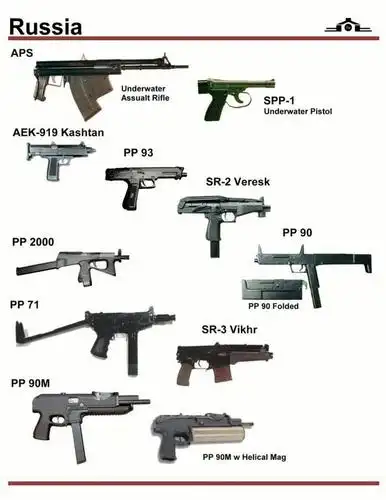 世界枪械识别图册(3)