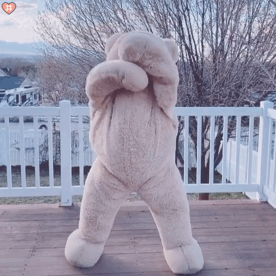 玩偶熊跳舞表情包动图第八弹