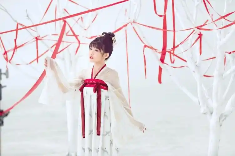 赖美云古风唯美写真图片29