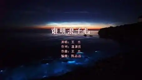 【粤语金典】王杰《谁明浪子心》