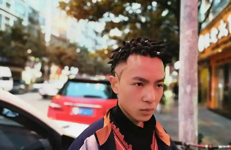 盆栽脏辫【男生短款】_斑马脏辫工作室-站酷zcool