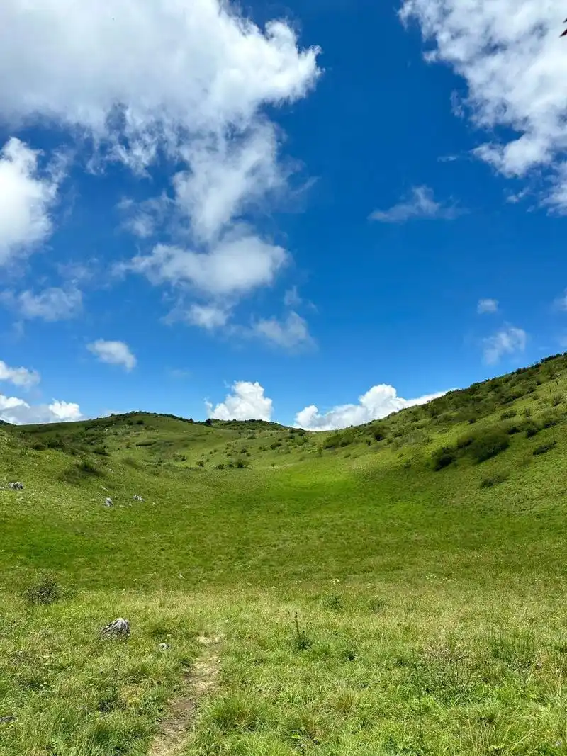 紫柏山-最容易到达的秦岭高山草甸 紫柏山位于汉中市留坝县,门票35元