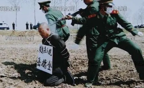 我跟死刑犯的那些天【真实故事】