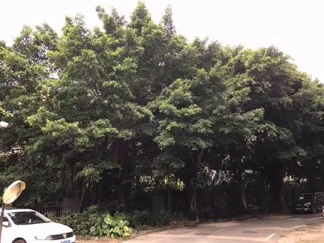 红山地铁站诚投七里香榭精装修现场实地核验