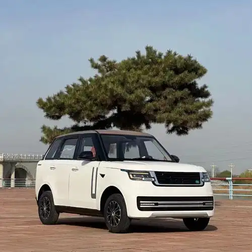 电动四轮车家用成人女士上班新能源电轿油电两用低速代步小电汽车