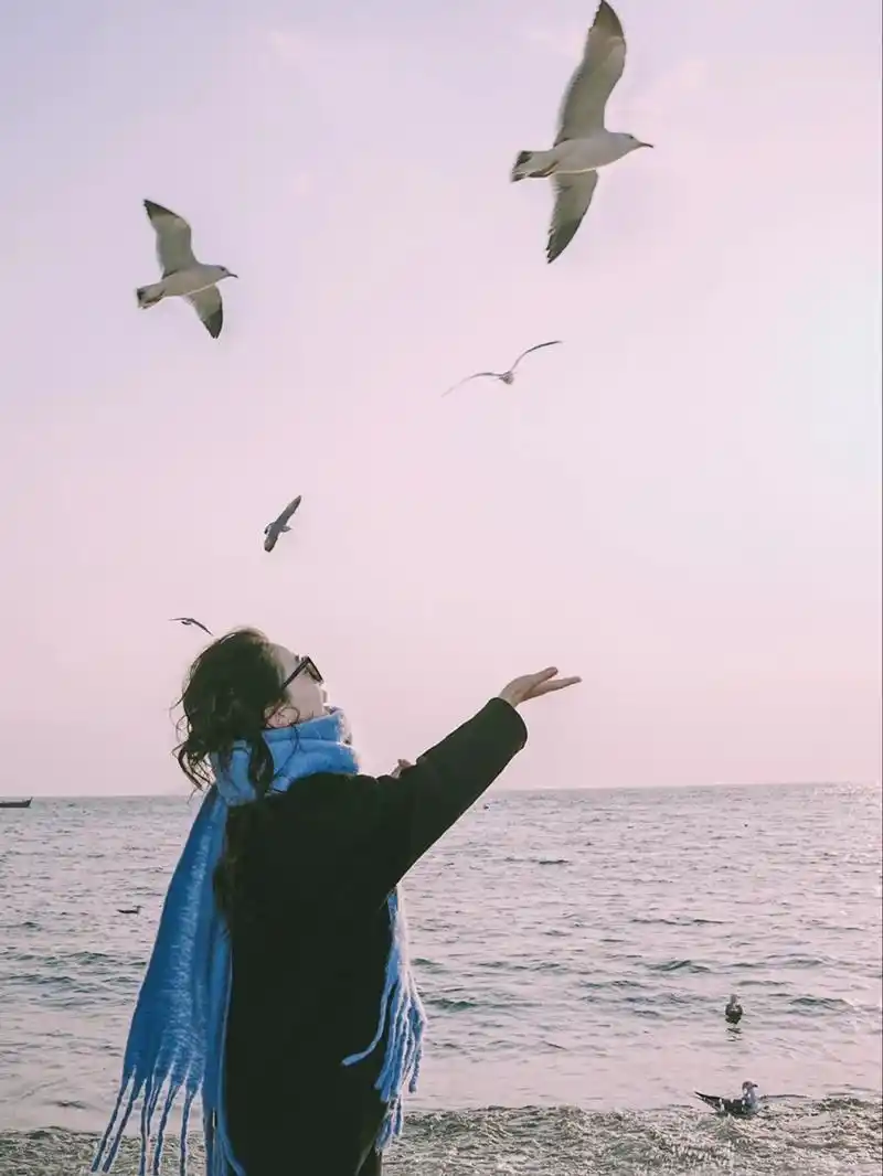 🌊❄️ 冬日海边,冷风与温柔并存～美女与海鸥的浪漫邂逅,是