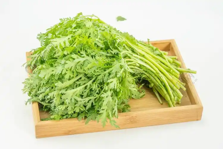 新鲜蔬菜茼蒿摄影图