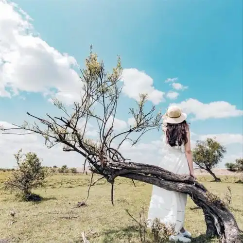 微信图片头像风景 阳光下的泡沫是彩色的_风景头像_520头像网