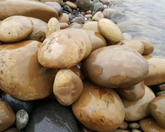 厂家直销天然鹅卵石 库存充足欢迎来电咨询