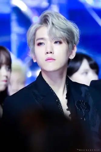 边伯贤啵啵虎,绝美银发,大佬,攻撩