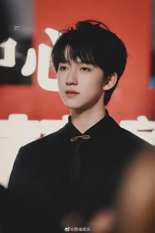 tmea盛典红毯#|#贺峻霖 tmea腾讯音乐娱乐盛典#黑色西装yyds!