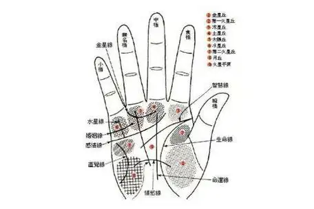 手掌有痣之人的命运与意义