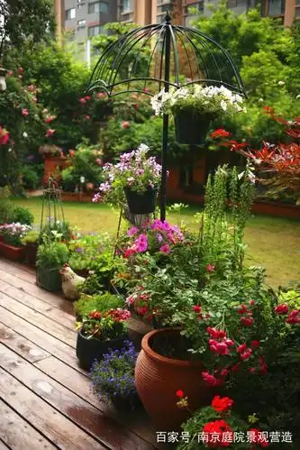 只要四步就能找到最合适的花园设计图!