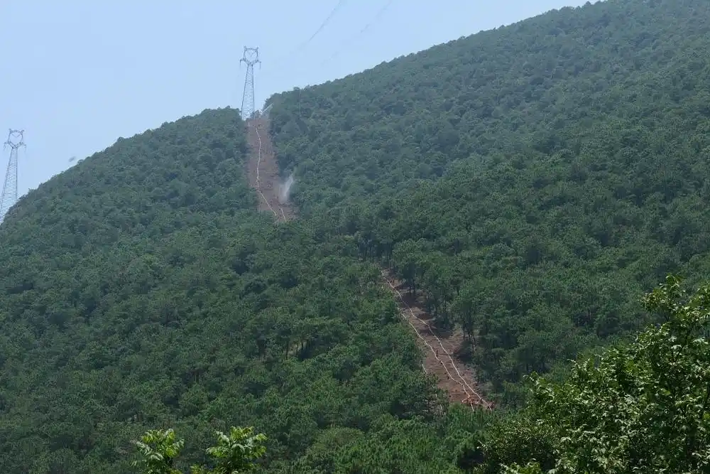 森林防火隔离带