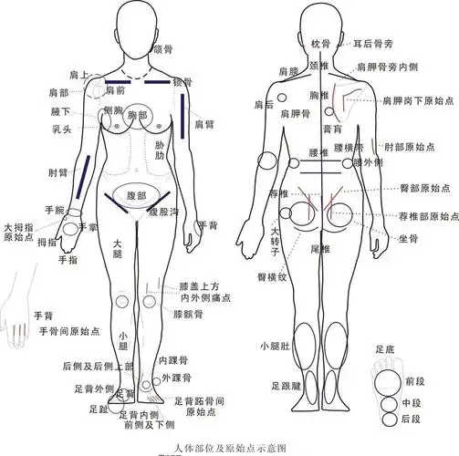 学习原始点的心路历程和痛风治疗方法