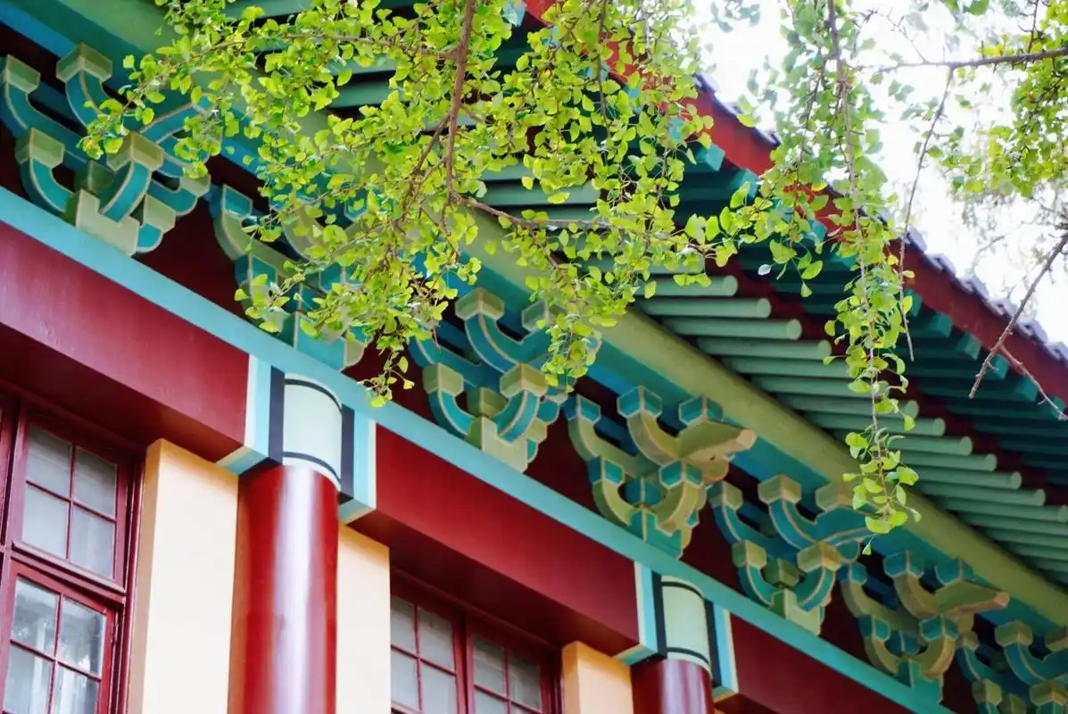 南师大随园校区