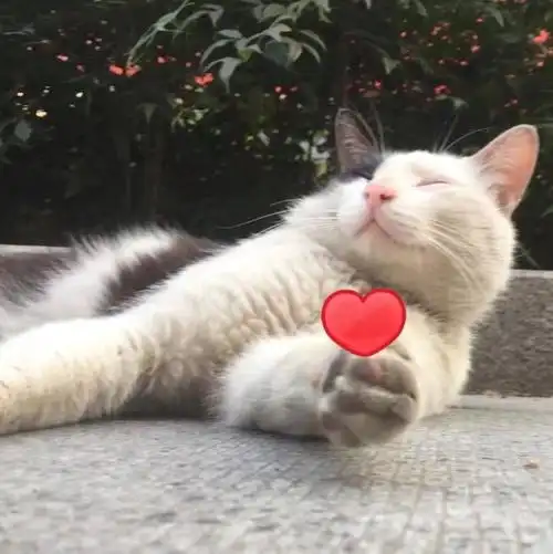 【暑假的医院行】"黄花恋"篇