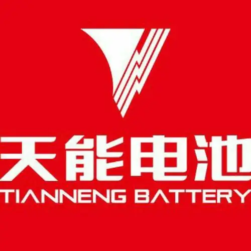 莱阳天能电池盖兆祥携业务精英们给您拜年了