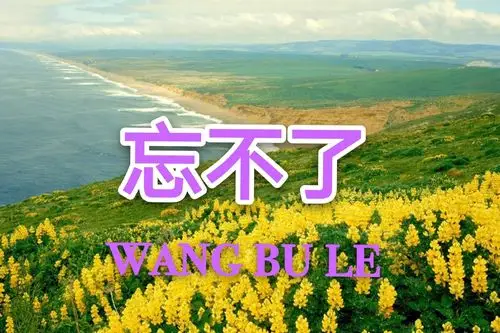 愿大家心想事成,健康永远