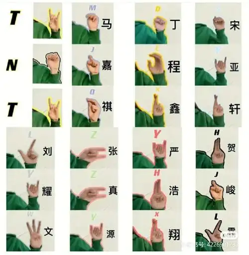 tnt时代少年团手势来喽