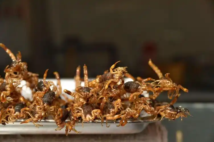 北京王府井小吃街的活蝎子25元一串,拍照的人多,吃的人却很少