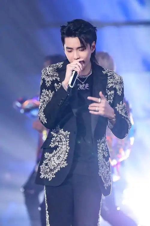 吴亦凡东方卫视跨年,alexander mcqueen私人定制 梅格妮-鲵西服