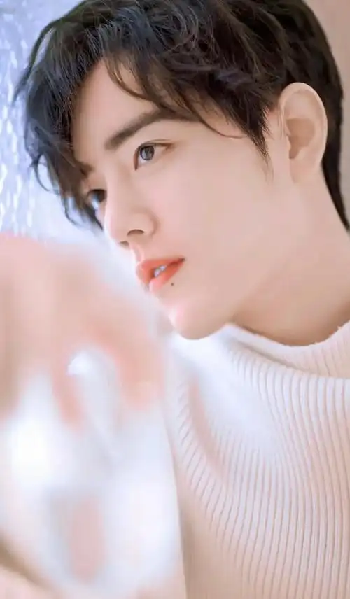 肖战即使出道做了明星,还依然过了两年才删除他,说是售后保障