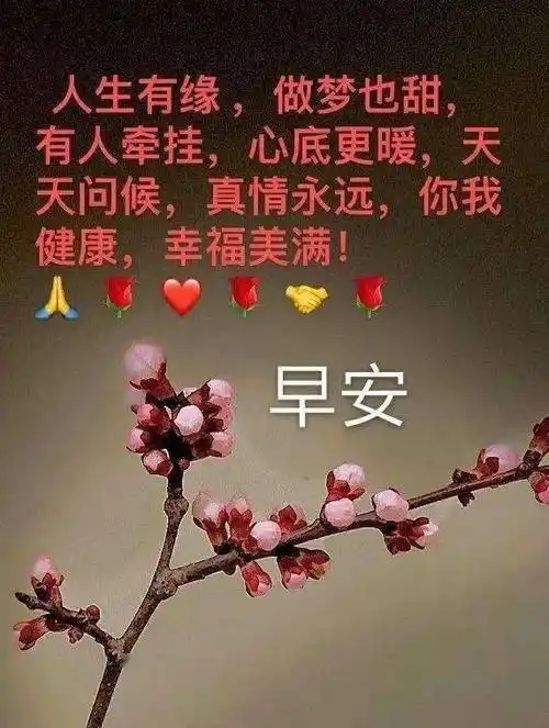 7张夏日有创意的早上好图片带字推荐,好看的早安问候语图片带字温馨