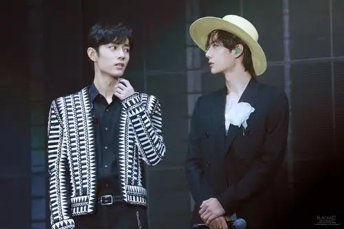 11.陈情令演唱会忘羡.王一博.肖战 - 堆糖,美图壁纸兴趣社区